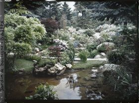 Image représentant Glycine au bord de l'eau et butte fleurie du " sanctuaire japonais ", peu éloignée du temple shinto