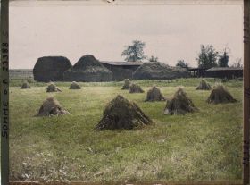 Image représentant France, Barleux, Meules de blé et Champ d'avoine
