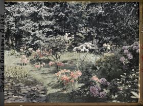 Image représentant Borde de l'étang dans le marais