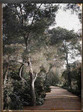 Image représentant Cap-Martin - Le Jardin