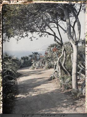 Image représentant Cap Martin Le Jardin
