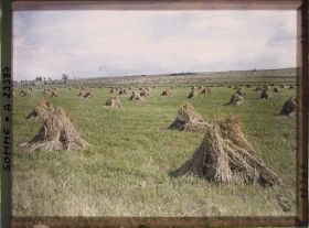 Image représentant France, Barleux, La terre à Barleux, Couverte de Champs moissonnés