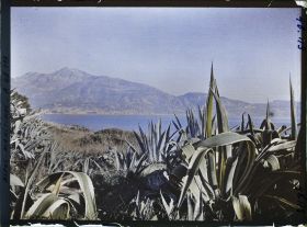 Image représentant Panorama sur Menton, vu depuis le rivage du cap Martin parsemé d'agaves