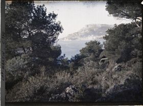 Image représentant Cap Martin - Le Jardin - Vue s/ Monaco