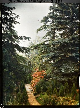Image représentant Effet d'automne sur un sentier bordé de jeunes conifères, menant à un pont du "sanctuaire japonais" situé près du sôrintô