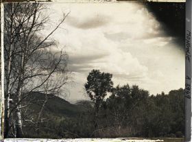 Image représentant Vue de la taïga avec à l'arrière-plan des montagnes