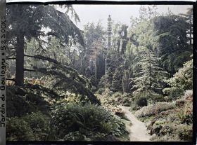 Image représentant Chemin du " sanctuaire japonais " menant au sorinto et rocaille fleurie ponctuée de conifères