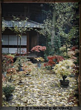 Image représentant Bonsaïs et grands arbres à l'automne, au pied de la pagode du " village japonais "