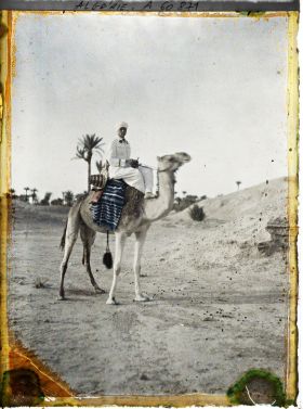 Image représentant Un officier méhariste sur sa monture