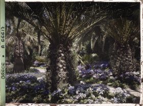 Image représentant L'Achilleion - Les Jardins