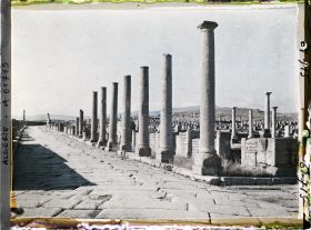 Image représentant Algérie, Timgad, Cardo Sud