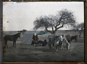 Image représentant Campement de l'équipe de Stéphane Passet
