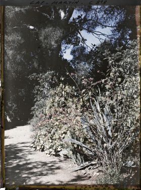 Image représentant Une allée du jardin