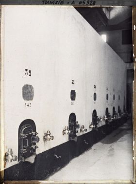 Image représentant Les caves de l'une des fermes appartenant à la Société des Fermes françaises