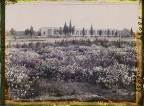 Image représentant Le jardin public et la façade du Palais des Gouverneurs