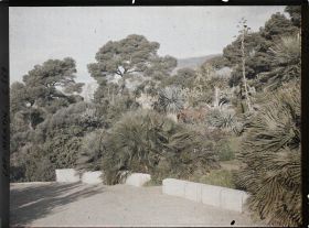 Image représentant Partie nord-ouest de la terrasse inférieure ouverte sur le jardin de la villa Kahn, dite villa Zamir