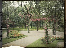 Image représentant Rond-point fleuri du verger-roseraie, vu près de la dépendance, en direction de la forêt bleue