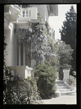 Image représentant Villa Miramar. Le perron avec la glycine