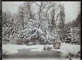 Image représentant Le Marais sous la neige