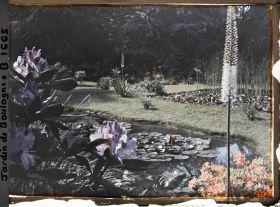 Image représentant Effet de contre jour près des étangs