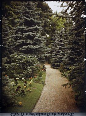 Image représentant Allée de la forêt bleue bordée de plates-bandes fleuries