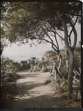 Image représentant Cap Martin Le Jardin