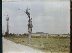 Image représentant Belgique, Kemmel, Le Scherpenberg