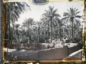 Image représentant Vue de l'oasis