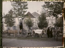 Image représentant France, Sauveterre de Béarn, Le Marché au bétail