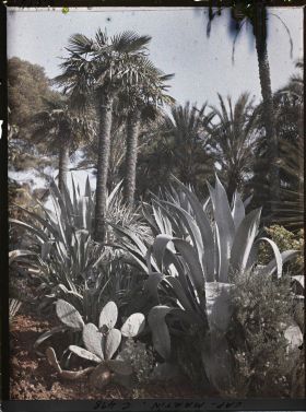 Image représentant Cap Martin Le Jardin