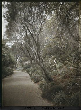 Image représentant Le Jardin