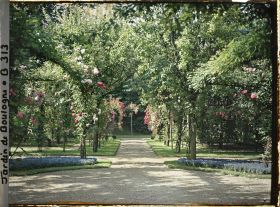 Image représentant Allée du verger-roseraie vue en direction du sud, depuis le rond-point proche du jardin français