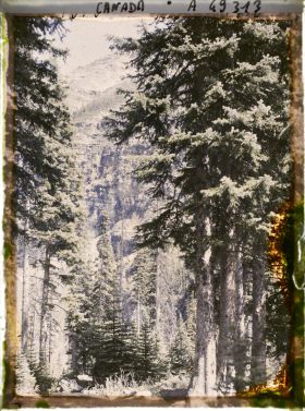 Image représentant Canada, Lac Louise, Echappée dans la Forêt