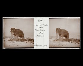 Image représentant Ming Shisanling ("Treize Tombeaux des Ming"). L'un des deux éléphants debout de l'allée des statues