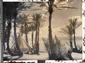 Image représentant Une tente du campement des forces arabes du royaume du Hedjaz dans une palmeraie au bord du golfe d'Aqaba