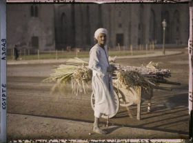 Image représentant Marchand ambulant de canne à sucre