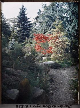 Image représentant Érable rouge au bord d'un chemin du " sanctuaire japonais ", encore proche du " village japonais "