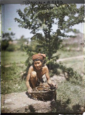 Image représentant Femme ramassant des escargots