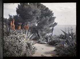 Image représentant Le Jardin, vue vers la mer