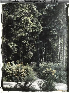 Image représentant Allée près de la forêt vosgienne