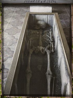 Image représentant Musée de Paléontologie, squelette de la Condamine Monaco