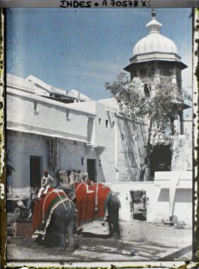 Image représentant Eléphants à l'abreuvoir