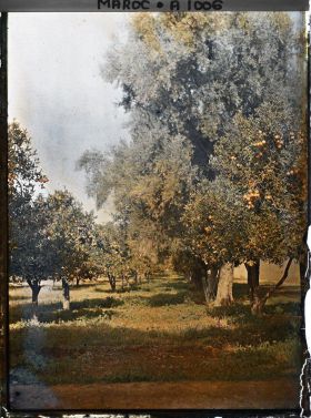 Image représentant Les jardins du Dar el Maghzen
