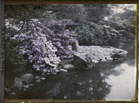 Image représentant Jardin d'une résidence
