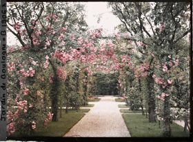 Image représentant Axe central du verger-roseraie vu vers la dépendance, après le rond-point proche du jardin français