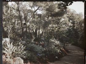 Image représentant Cap Martin Le Jardin