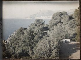 Image représentant Pointe rocheuse et paysage arboré en contrebas d'une terrasse de la villa Kahn, dite villa Zamir