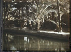 Image représentant Un bassin de retenue dans l'oasis de Zenaga