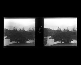 Image représentant Le jardin botanique de l'Université impériale de Tokyo