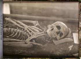 Image représentant Squelette d'un homme de haute stature de 2m de type Cro Magnon, Grotte des Enfants
